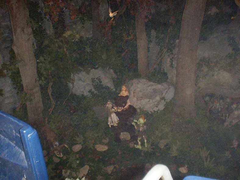 ��� �������